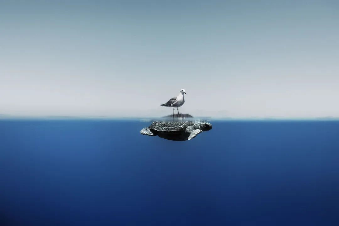 圖片關鍵詞