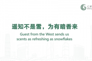 遙知不是雪，為有暗香來