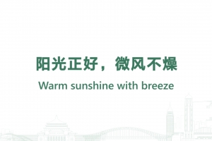 陽光正好，微風不燥