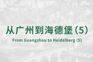 從廣州到海德堡(5)